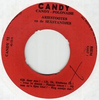 Arie Stootes - Ojee Polonaise (Medley) (Vinylsingle)