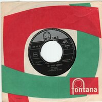 Rob de Nijs - If I had a hammer + Blue velvet (Vinylsingle)