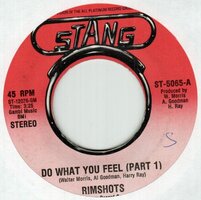 Rimshots - Do What You Feel + (part 2) (Vinylsingle)