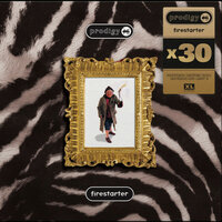 PRODIGY - Firestarter (X30)  (Vinyl LP)