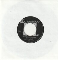 Starlings - A World Of Your Own + King Of The Road (Vinylsingle)