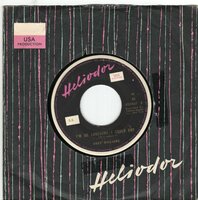 Andy Williams - I'm so lonesome I could cry + The village of St. Bernadette (Vinylsingle)
