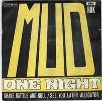 Mud - One night + Shake rattle and roll + See you later? (Vinylsingle)