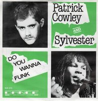 Patrick Cowley - Do you wanna funk + (instr.) (Vinylsingle)
