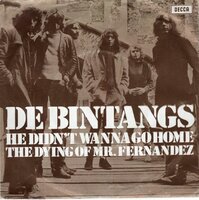 Bintangs - He didn't wanna go home + The dying of Mr. Fernandez (Vinylsingle)