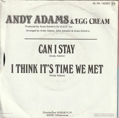 Andy Adams - I Think It's Time We Met + Can I Stay (Vinylsingle)