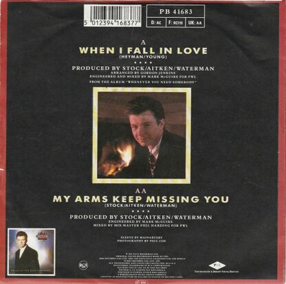 Rick Astley - When I fall in love + My arms keep missing you (Vinylsingle)