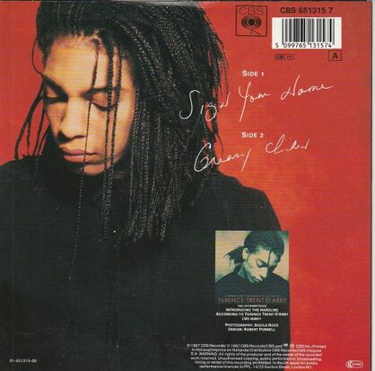 Terence Trend D'Arby - Sign your name + Greasy chicken (Vinylsingle)