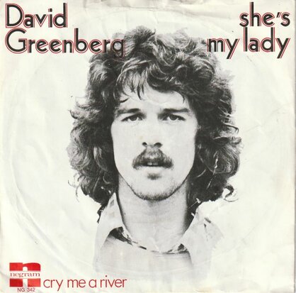 David Greenberg - She's My Lady + Cry Me A River (Vinylsingle)