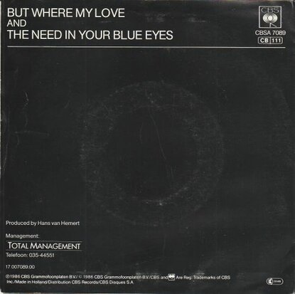 Rene Shuman - But where my love + The need in your eyes (Vinylsingle)