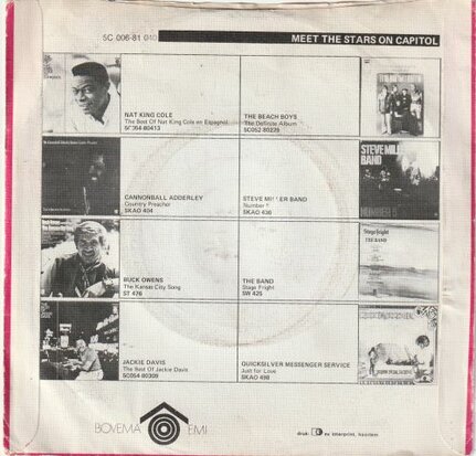 Fortunes - Storm in a teacup + I'm not following you (Vinylsingle)