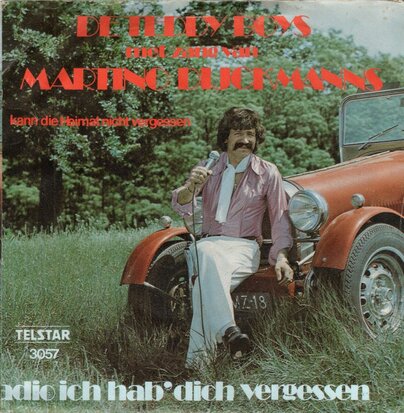Teddy Boys - Adio ich hab dich vergessen + Kann die heimat nicht vergessen (Vinylsingle)