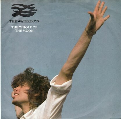 Waterboys - Whole of the moon + Medicine Jack (Vinylsingle)
