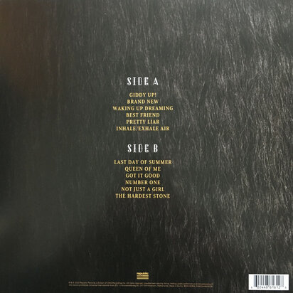 SHANIA TWAIN - QUEEN OF ME (Vinyl LP)