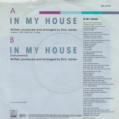 Mary Jane Girls - In my house + (instr) (Vinylsingle)