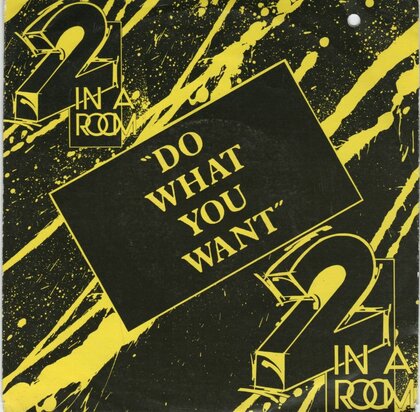 2 in a Room - Do what you want + (12" edit) (Vinylsingle)