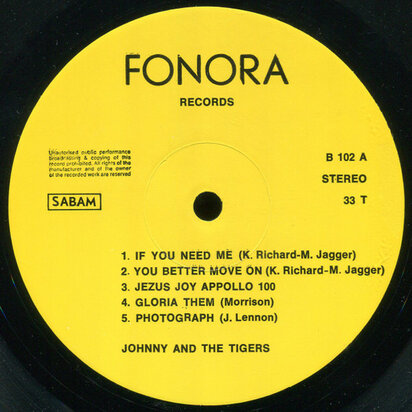 Johnny And The Tigers - Live (Vinyl LP)