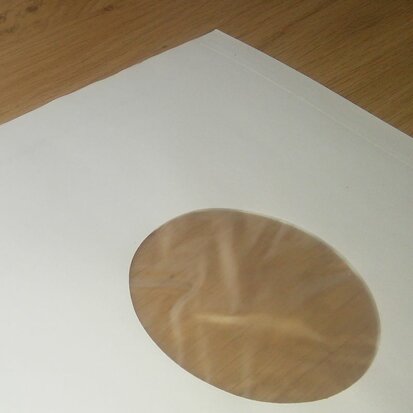 White Paper Sleeves with inner foil for 10