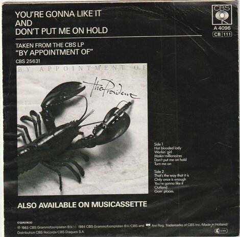 President - You're gonna like it + Don't put me on hold (Vinylsingle)