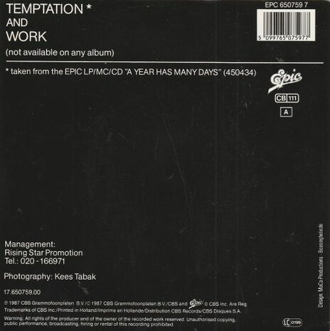 Richenel - Temptation + Work (Vinylsingle)