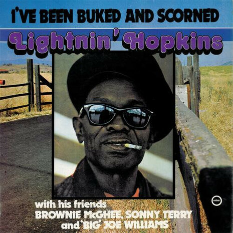 Lightnin' Hopkins / Brownie McGhee / Sonny Terry / Big Joe Williams - I've Been Buked And Scorned (Vinyl LP)