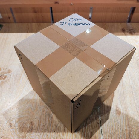 Vinylsingles Pretpakket - 100 stuks
