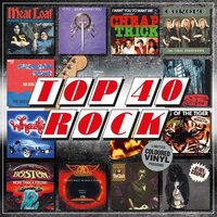 VARIOUS - TOP 40  -ROCK- (Vinyl LP)