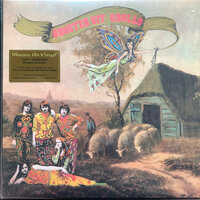 CUBY & THE BLIZZARDS - GROETEN UIT GROLLO -COLOURED- (Vinyl LP)