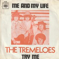 Tremeloes - Me and my life + Try me (Vinylsingle)