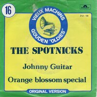 Spotnicks - Johnny Guitar + Orange blossom special (Vinylsingle)