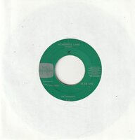 Shadows - Wonderful land + Stars fell on Stockton (Vinylsingle)