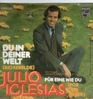Julio Iglesias - Du in deiner welt + Fur eine wie du (Vinylsingle)