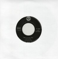 Jim Reeves - Am I losing you + I missed me (Vinylsingle)