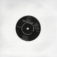 Hollies - Listen to me + Do the best you can (Vinylsingle)