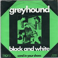 Greyhound - Black and white + Sand in your shoes (Vinylsingle)