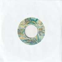 Double Explosure - I  Got The Hots For Ya + Perfect Lover (Vinylsingle)