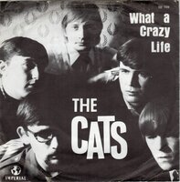 Cats - What a crazy life + Hopeless try (Vinylsingle)