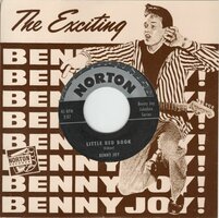 Benny Joy - Little Red Book + Hey High School Baby (Vinylsingle)