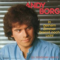 Andy Borg - In deinme zimmer brennt noch licht + Ein madchen wie du (Vinylsingle)
