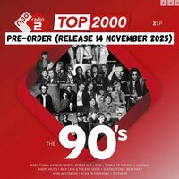 VARIOUS - TOP 2000 - THE 90'S (Vinyl LP)