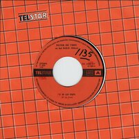 Peter de Vree - Het is zo fijn  + Vragen (Vinylsingle)