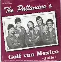 Pallamino's  - Golf van Mexico + Julio (Vinylsingle)