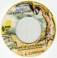 Everly Brothers - Wake up little Susie + Maybe tomorrow (Vinylsingle)