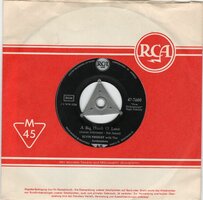 Elvis Presley - A big hunk of love + My wish came true (Vinylsingle)