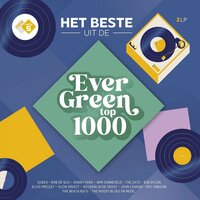 VARIOUS - HET BESTE UIT DE EVERGREEN TOP 1000 (Vinyl LP)