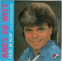 Andy de Witt - Hou Je Kop + Lay A Little Love (Vinylsingle)