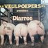 R.K. Veulpoepers B.V. - Diarree (Vinyl LP)_